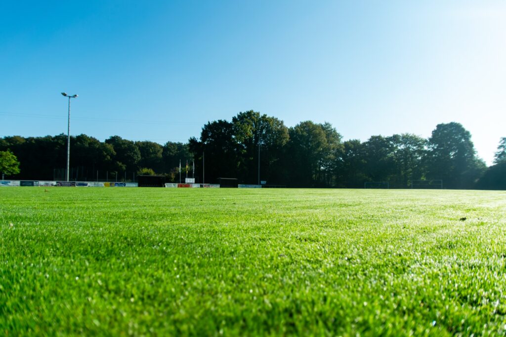 Leeres Fußballfeld aus niedriger Perspektive mit saftig grünem Rasen im Vordergrund, Werbebanden und kleinen Tribünen am Spielfeldrand, einer Baumreihe im Hintergrund und klarem blauem Himmel mit einem hohen Flutlichtmast.