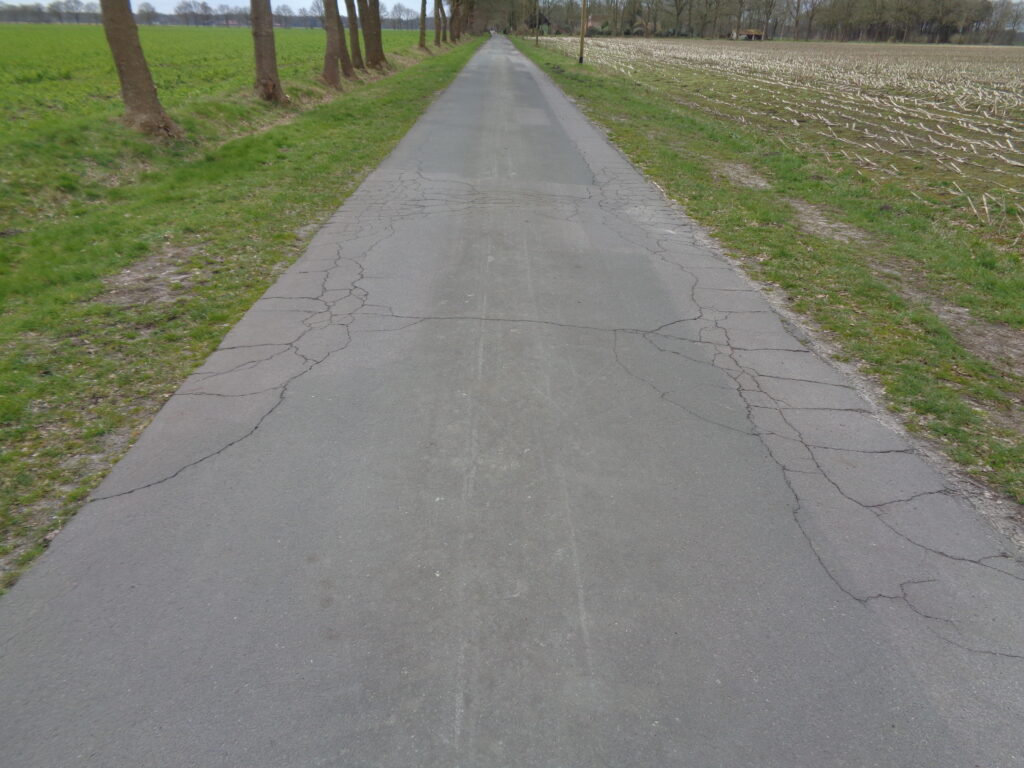 Lange gerade Landstraße mit rissigem Asphalt, beidseits von schmalen Grasstreifen und Feldern gesäumt, links eine Reihe hoher Bäume und am fernen Horizont vereinzelte Gebäude.